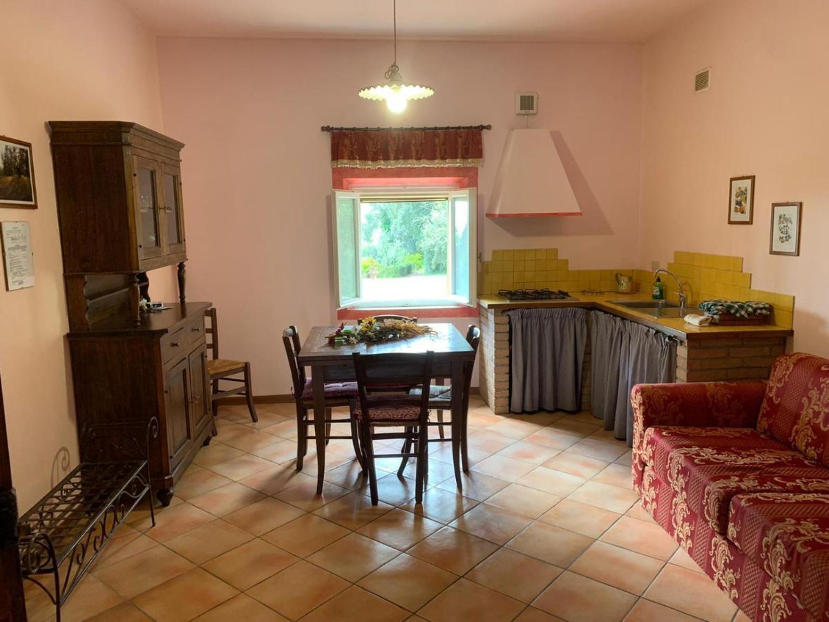 Agriturismo Le Querciole Casciana Terme Esterno foto